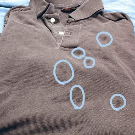 How to Remove Set-In Grease Stains from Laundry: Effective Tips and Tricks for a Spotless Clean