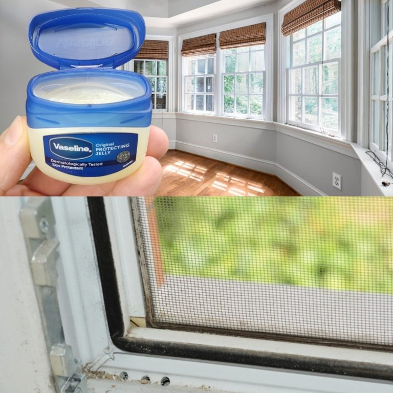 The Benefits of Vaseline and Why Even the Wealthiest People Use It on Their Windows