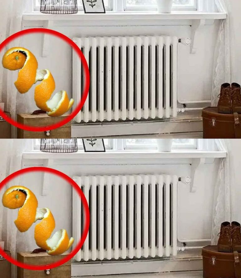 Citrus peels on the radiators: Because they have to be installed quickly