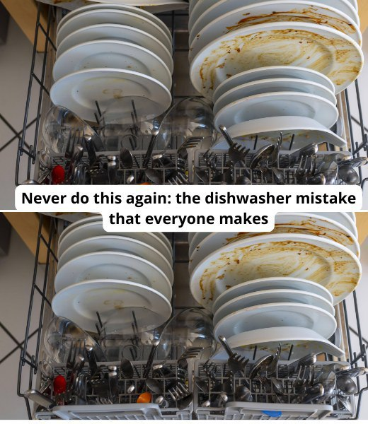 Never do this again the dishwasher mistake that everyone makes