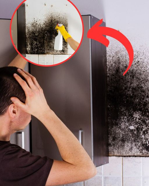 Grandmother’s Old Trick Makes Mold Disappear from Your Home