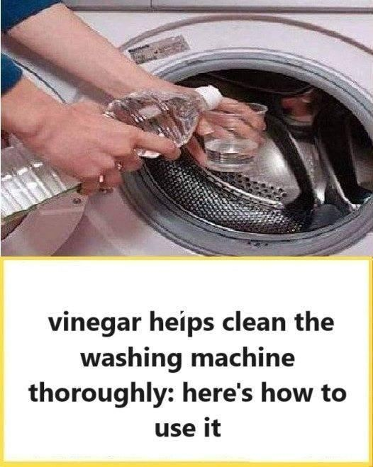 Keeping Your Washing Machine’s Interior Clean