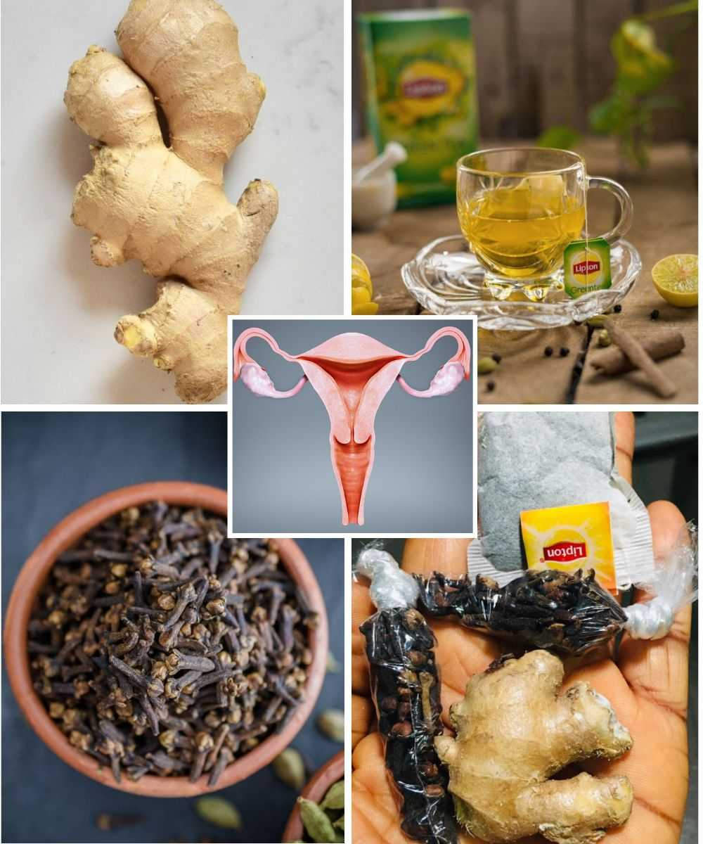 The Powerful Health Benefits of Lipton, Cloves, and Ginger Tea Every Woman Should Know